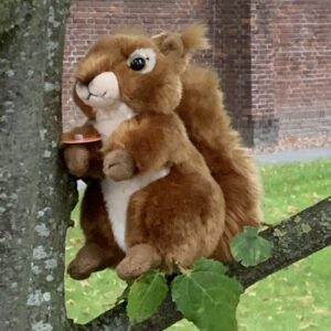 Hermann Teddy Eekhoorn