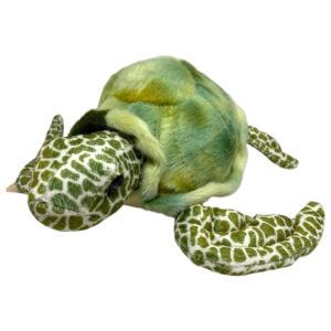 Hermann Teddy Schildpad