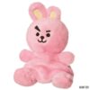 Palm Pals BT21 Cooky