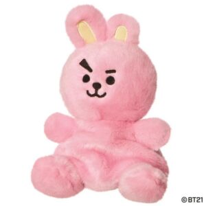 Palm Pals BT21 Cooky
