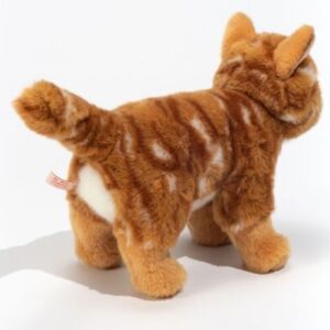 Alternative view of Hermann Teddy Rode kat
