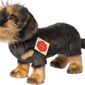 Hermann Teddy ruwharige teckel