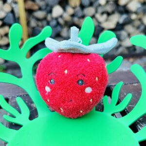 Sterntaler aardbei
