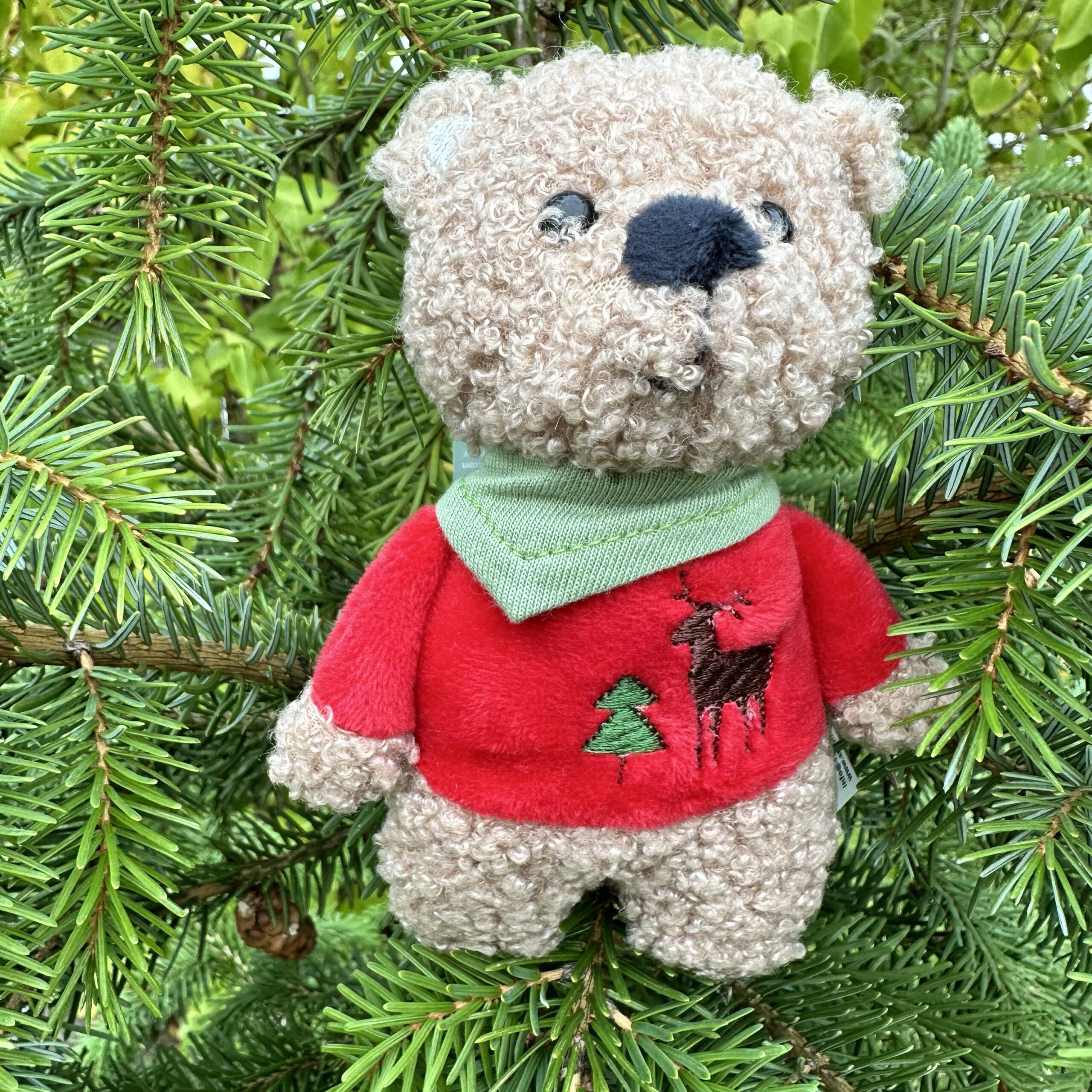 Sterntaler kerst beertje